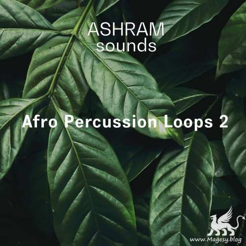 Afro Percussion Loops 2 WAV-FANTASTiC