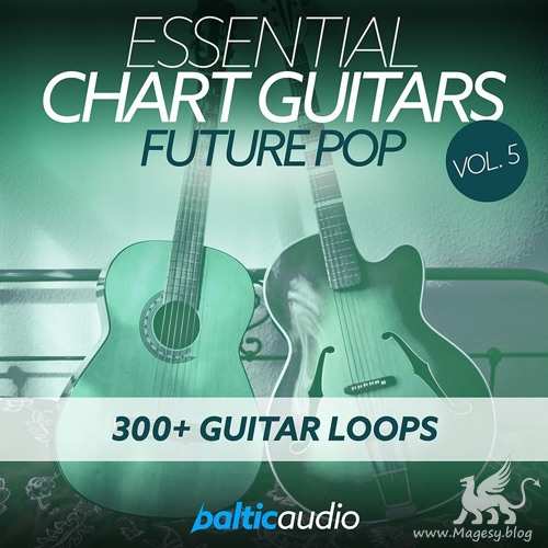 Essential Chart Guitars Vol.5 WAV-DECiBEL