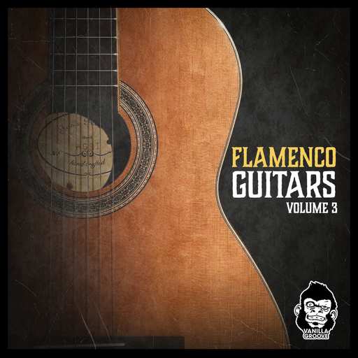 Flamenco Guitars Vol.3 WAV