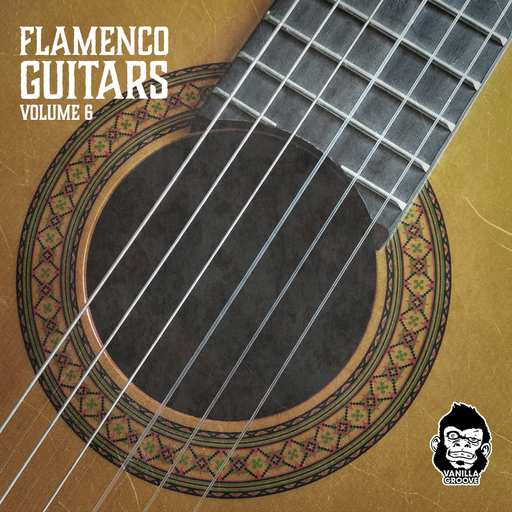 Flamenco Guitars Vol.6 WAV