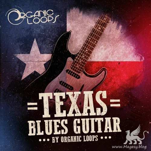 Texas Blues Guitars WAV REX-FANTASTiC