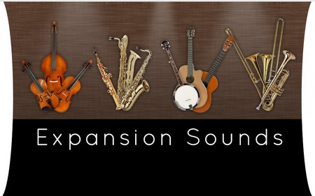 Notion v4.0.325 Expansion Sounds Add-On WiN ISO-RBS