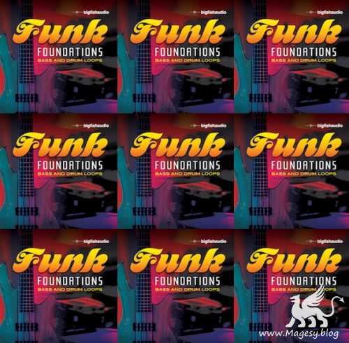Funk Foundations MULTiFORMAT-MAGNETRiXX
