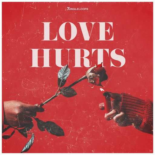 Love Hurts WAV MiDi-DiSCOVER