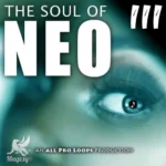 The Soul Of Neo 3 WAV MiDi-AUDiOSTRiKE