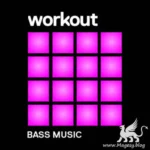 Workout Bass Expansion for MASCHiNE 2