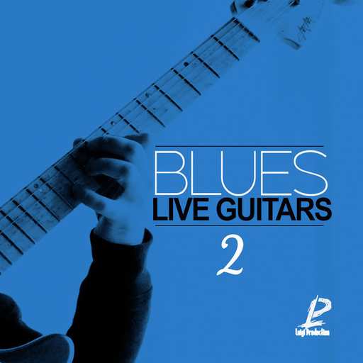 Blues Live Guitars 2 WAV-DECiBEL