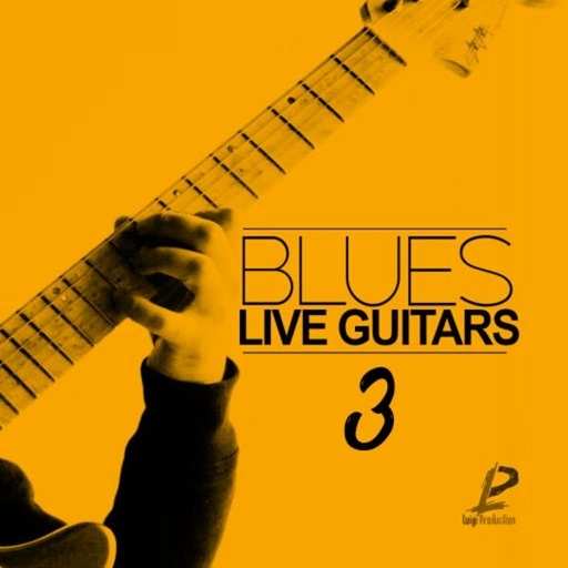 Blues Live Guitars 3 WAV-DECiBEL