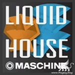 Liquid House Expansion for MASCHiNE