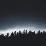 Nature´s Essence WAV
