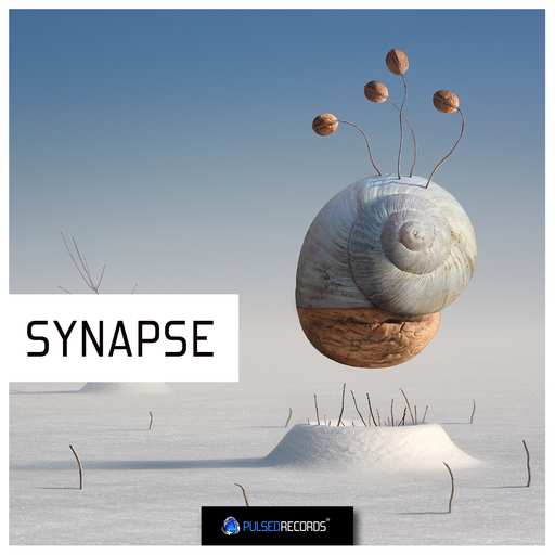 Synapse WAV-DECiBEL