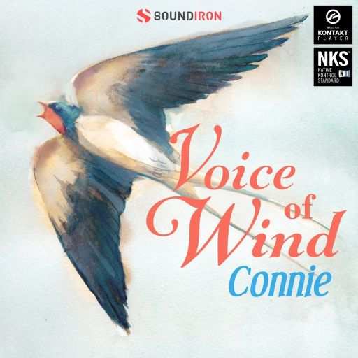 Voice of Wind: Connie v1.0 KONTAKT-DECiBEL