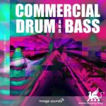 Commercial Drum And Bass 1 WAV-DECiBEL