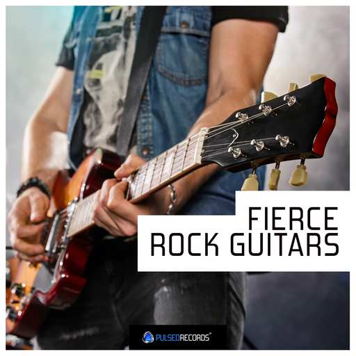 Fierce Rock Guitars WAV-DECiBEL