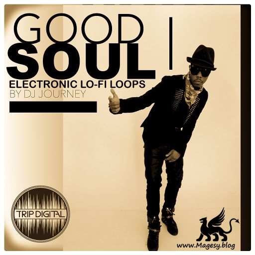 Good Soul Electronic Lo-Fi WAV