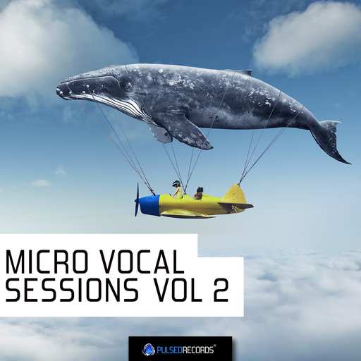 Micro Vocal Sessions Vol.2 WAV MiDi-DECiBEL