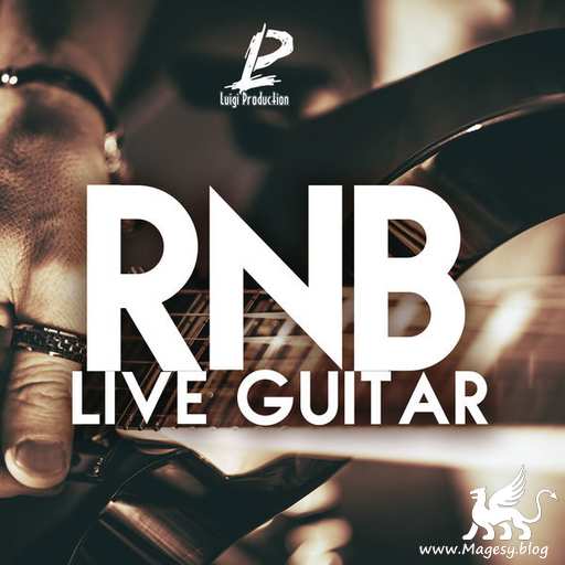 RnB Live Guitar WAV-DECiBEL