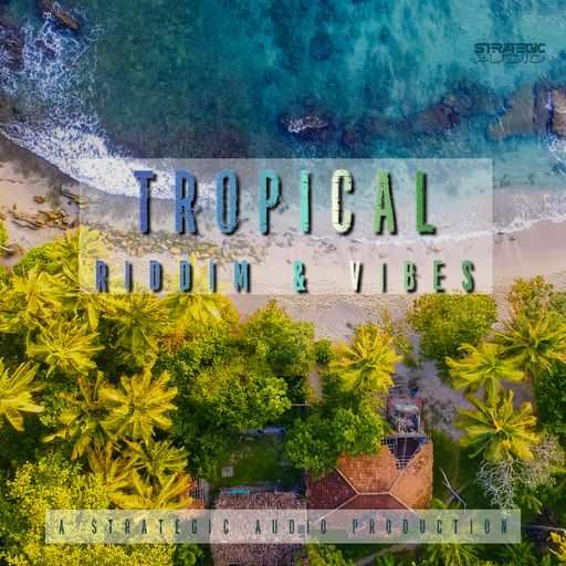 Tropical Riddim And Vibes MULTiFORMAT-DiSCOVER