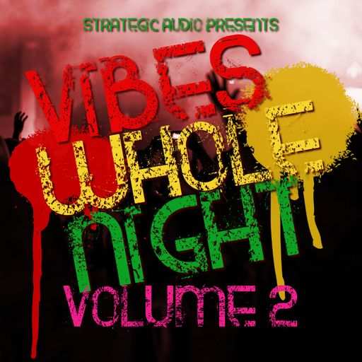 Vibes Whole Night Vol.2 WAV-DISCOVER