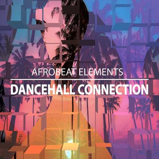 Afrobeat Element: Dancehall Connection WAV-FANTASTiC