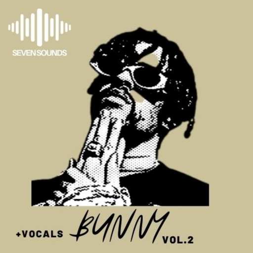 Bunny Vol.2 WAV MiDi-DiSCOVER