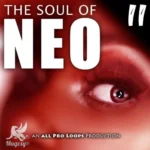 The Soul Of Neo 2 WAV MiDi-MAGNETRiXX