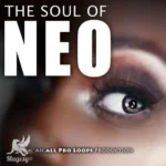 The Soul Of Neo WAV MiDi-MAGNETRiXX