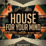 House For Your Mind MULTiFORMAT-PiRAT