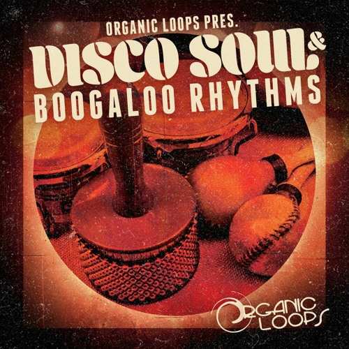 Disco Soul And Boogaloo Rhythms WAV REX-FANTASTiC