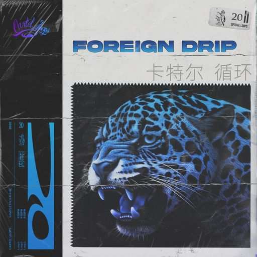 Foreign Drip WAV-DiSCOVER