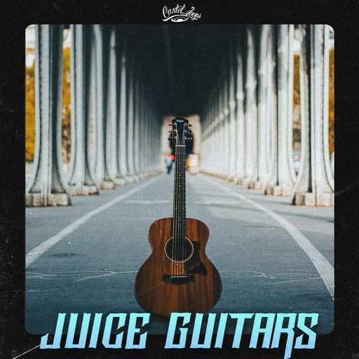 Juice Guitars WAV-DiSCOVER