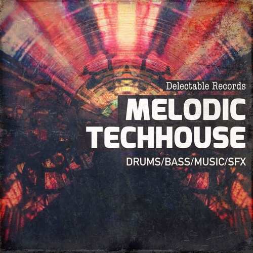 Melodic TechHouse 01 MULTiFORMAT-FANTASTiC