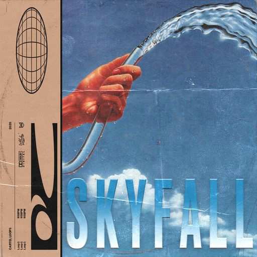 Skyfall WAV-DiSCOVER