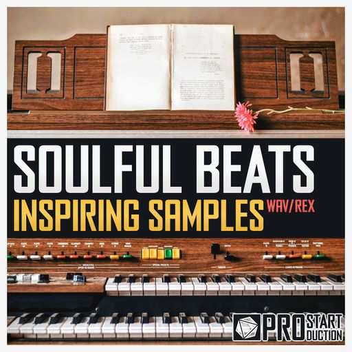 Soulful Beats: Inspiring Samples