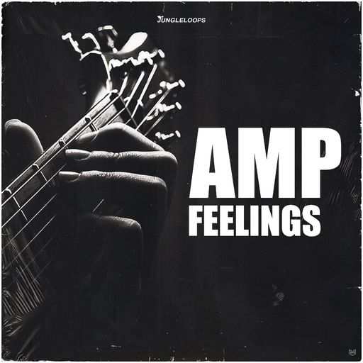 Amp Feelings WAV-DiSCOVER