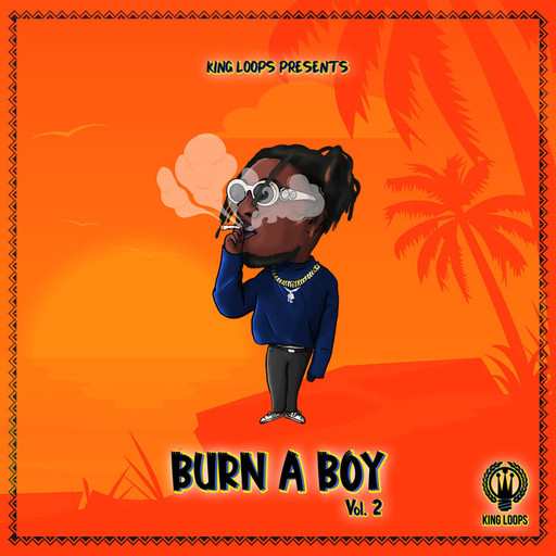 Burn A Boy Vol.2 WAV MiDi-DiSCOVER