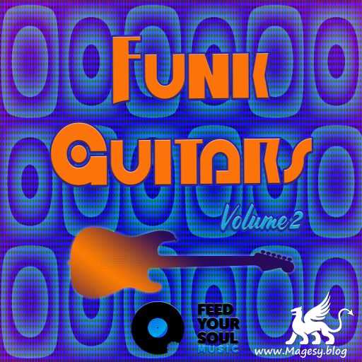 Funk Guitars Vol.2 WAV-FANTASTiC