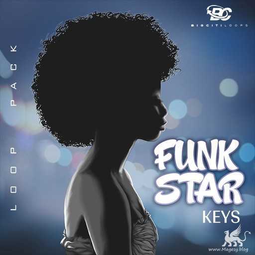 Funk Star Keys 1 WAV-DECiBEL