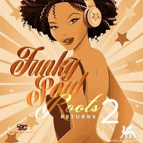 Funky Soul Roots Returns 2 WAV-DECiBEL