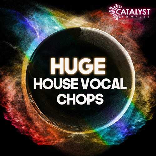 Huge House Vocal Chops WAV