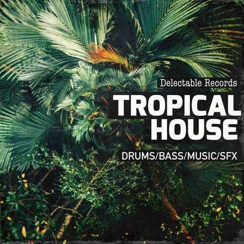 Tropical House 01 WAV-FANTASTiC