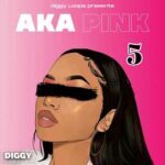 Aka Pink 5 WAV FANTASTiC | 03 January 2022 | 78 MB...