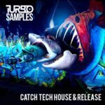 Catch Tech House And Release WAV MiDi-DECiBEL