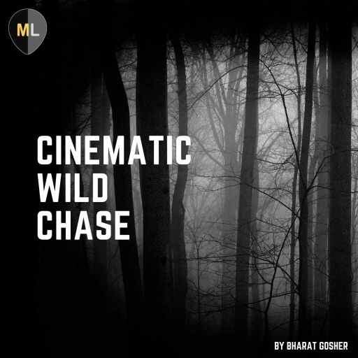 Cinematic Wild Chase Vol.1 AiFF WAV-DECiBEL