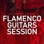 Flamenco Guitars Session FANTASTiC | 03 January 2022 | 83 MB 'Flamenco...