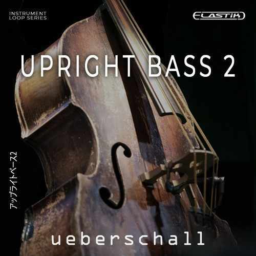 Upright Bass 2 ELASTiK