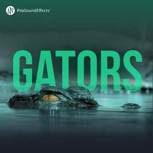 Gators Sound Effects WAV-FANTASTiC