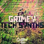 Grimey Tech Synths FANTASTiC | 09 February 2022 | 91 MB In...