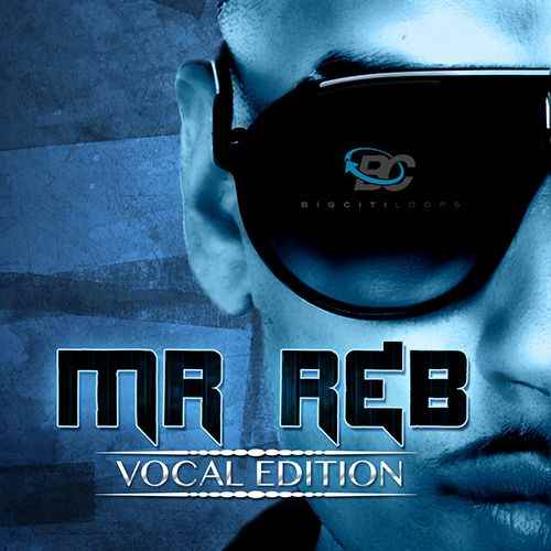 Mr. RnB Vocal Edition WAV-FANTASTiC