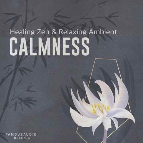 Calmness: Healing Zen and Relaxing Ambient WAV-FANTASTiC